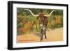 Texas Longhorn Steer-null-Framed Art Print