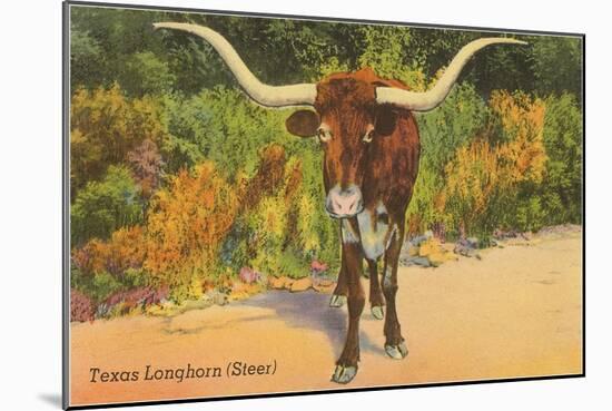 Texas Longhorn Steer-null-Mounted Art Print