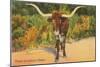 Texas Longhorn Steer-null-Mounted Art Print