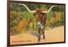 Texas Longhorn Steer-null-Framed Art Print