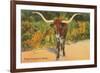 Texas Longhorn Steer-null-Framed Premium Giclee Print