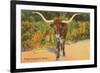 Texas Longhorn Steer-null-Framed Premium Giclee Print