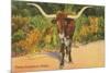 Texas Longhorn Steer-null-Mounted Premium Giclee Print