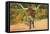 Texas Longhorn Steer-null-Framed Stretched Canvas