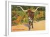 Texas Longhorn Steer-null-Framed Art Print