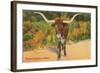 Texas Longhorn Steer-null-Framed Art Print