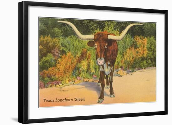 Texas Longhorn Steer-null-Framed Art Print