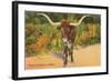 Texas Longhorn Steer-null-Framed Art Print