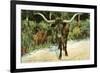 Texas Longhorn-null-Framed Premium Giclee Print