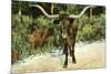 Texas Longhorn-null-Mounted Premium Giclee Print