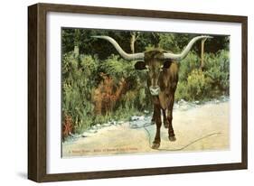 Texas Longhorn-null-Framed Art Print