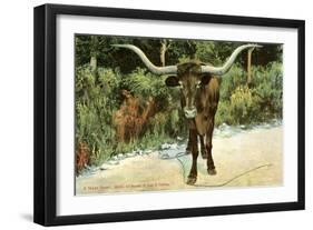 Texas Longhorn-null-Framed Art Print