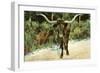 Texas Longhorn-null-Framed Art Print