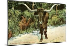 Texas Longhorn-null-Mounted Art Print