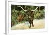 Texas Longhorn-null-Framed Art Print