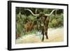 Texas Longhorn-null-Framed Art Print