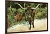 Texas Longhorn-null-Framed Art Print