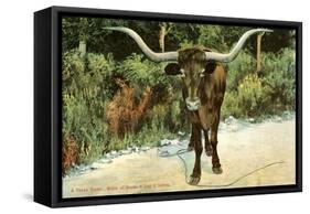 Texas Longhorn-null-Framed Stretched Canvas