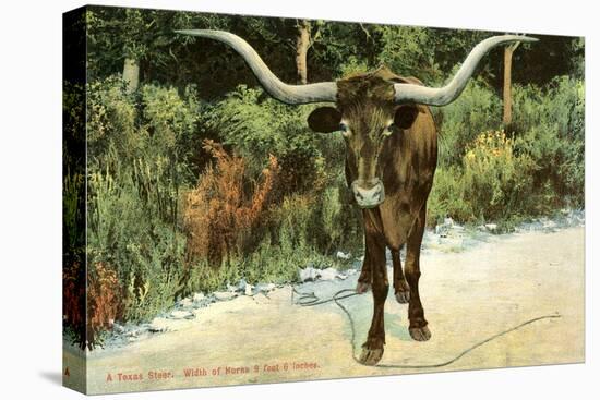 Texas Longhorn-null-Stretched Canvas