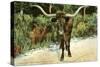 Texas Longhorn-null-Stretched Canvas