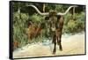 Texas Longhorn-null-Framed Stretched Canvas