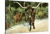 Texas Longhorn-null-Stretched Canvas