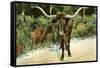 Texas Longhorn-null-Framed Stretched Canvas