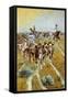 Texas Longhorns-Ollaf C. Seltzer-Framed Stretched Canvas