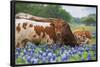 Texas - Longhorns-Trends International-Framed Poster