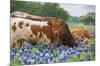 Texas - Longhorns-Trends International-Mounted Poster