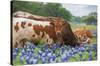 Texas - Longhorns-Trends International-Stretched Canvas
