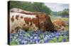 Texas - Longhorns-Trends International-Stretched Canvas