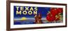 Texas Moon Tomatoes-null-Framed Premium Giclee Print