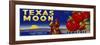 Texas Moon Tomatoes-null-Framed Giclee Print