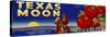 Texas Moon Tomatoes-null-Stretched Canvas