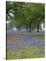 Texas Paintbrush and Bluebonnets Beneath Oak Trees, Texas Hill Country, Texas, USA-Adam Jones-Stretched Canvas