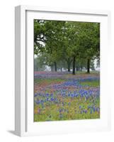 Texas Paintbrush and Bluebonnets Beneath Oak Trees, Texas Hill Country, Texas, USA-Adam Jones-Framed Photographic Print