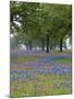 Texas Paintbrush and Bluebonnets Beneath Oak Trees, Texas Hill Country, Texas, USA-Adam Jones-Mounted Photographic Print