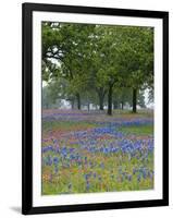 Texas Paintbrush and Bluebonnets Beneath Oak Trees, Texas Hill Country, Texas, USA-Adam Jones-Framed Photographic Print