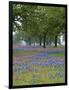 Texas Paintbrush and Bluebonnets Beneath Oak Trees, Texas Hill Country, Texas, USA-Adam Jones-Framed Photographic Print