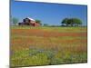 Texas Paintbrush Flowers and Red Barn in Field, Texas Hill Country, Texas, USA-Adam Jones-Mounted Photographic Print