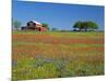 Texas Paintbrush Flowers and Red Barn in Field, Texas Hill Country, Texas, USA-Adam Jones-Mounted Photographic Print