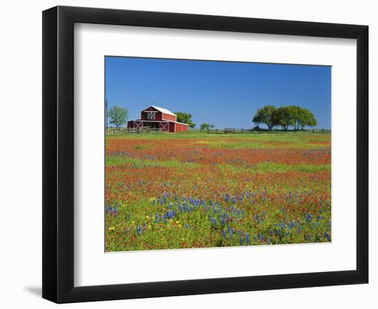 Texas Paintbrush Flowers and Red Barn in Field, Texas Hill Country, Texas, USA-Adam Jones-Framed Photographic Print