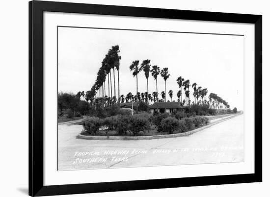 Texas - Palms along the Highway in Lower Rio Grande Valley-Lantern Press-Framed Premium Giclee Print