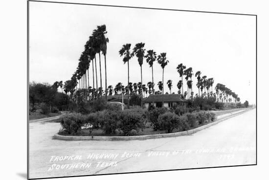 Texas - Palms along the Highway in Lower Rio Grande Valley-Lantern Press-Mounted Premium Giclee Print