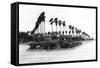 Texas - Palms along the Highway in Lower Rio Grande Valley-Lantern Press-Framed Stretched Canvas