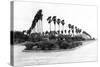 Texas - Palms along the Highway in Lower Rio Grande Valley-Lantern Press-Stretched Canvas