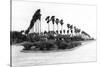 Texas - Palms along the Highway in Lower Rio Grande Valley-Lantern Press-Stretched Canvas