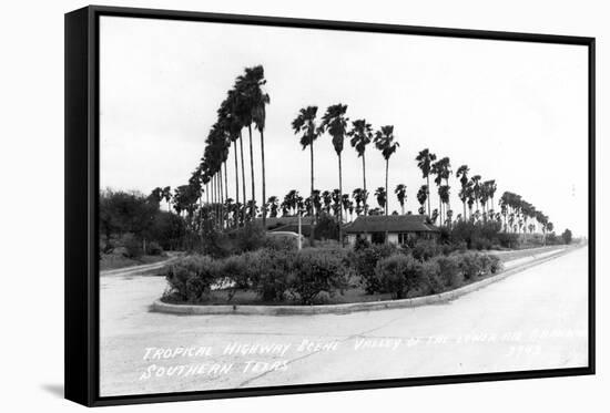 Texas - Palms along the Highway in Lower Rio Grande Valley-Lantern Press-Framed Stretched Canvas