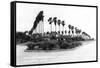 Texas - Palms along the Highway in Lower Rio Grande Valley-Lantern Press-Framed Stretched Canvas